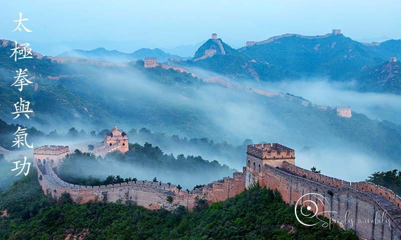 Spiralis Mirabilis - Rivista dedicata alle arti marziali cinesi e alla cultura tradizionale cinese con focus su Tai Chi QiGong e DaoYin